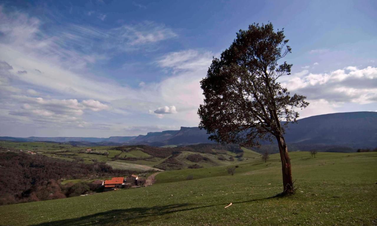 Zelaikoetxe Villa Ozeka Dış mekan fotoğraf
